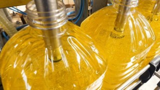 NAPMK: Kazakistan ayçiçek yağı ihracatında 6’ncılığı hedefliyor