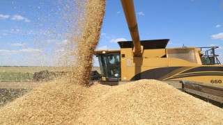 Rusya Kabinesi 2026’nın ilk yarısı için 20 milyon ton tahıl ihracat kotası belirledi