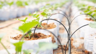 Sözleşmeli Üretim Yönetmeliğinde Yeni Düzenlemeler Yayımlandı