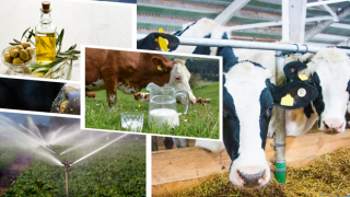 Tarım Bakanı Yumaklı: 2 Milyar Lira Destek Bugün Ödeniyor