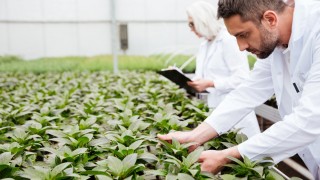 Tarım ve Orman Uzmanlığı Yönetmeliğinde Önemli Değişiklikler