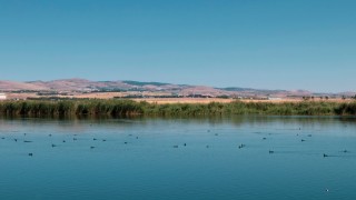 TEMA Vakfı: 2025’te çevre kazanımları ve tehditler arttı