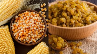 TMO: Mısır ve Kuru Üzüm Alım Ödemeleri Hesaplara Yatırıldı