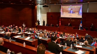 Trabzon’da Sahipsiz Hayvanlar İçin Birlik Kuruldu: 17 İlçe Üye Oldu