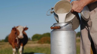 TÜSEDAD Kasım 2025 çiğ süt maliyetini 23,77 TL olarak açıkladı