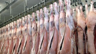 UKON: Dana kesim fiyatı yıllık bazda yüzde 53,4 arttı