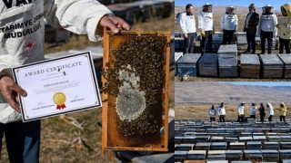 Van balı Bakü’de altın madalya kazandı