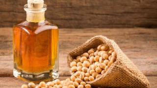 ABD Tarım Bakanlığı: Çin 2025/26’da Soya Yağı Net İhracatçısı