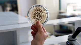 AGTU, kuraklığa dayanıklı mikroorganizmalı biyogübre geliştirdi