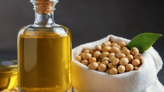 Anec: Brezilya’nın Ocak soya ihracatı 3,23 milyon ton