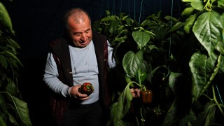 Antalya Büyükşehir’den seralara dijital sensör desteği