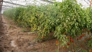 Bakan Yumaklı: Antalya’daki selde hasar tespitleri sürüyor