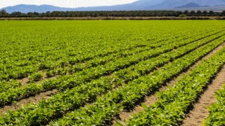 Bakan Yumaklı: Kırsal kalkınma desteklerinde yeni dönem