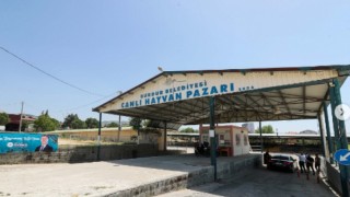 Burdur Belediyesi, Canlı Hayvan Pazarı’nı yeniden açtı