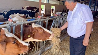 CHP’li Gürer: USDA Raporu Hayvancılıktaki Krizi Gösterdi