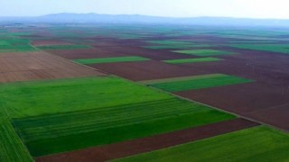 Danıştay, Alpu Ovası’nda termik santral projesini hukuka aykırı buldu