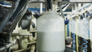 Ediz Ün: Ulusal Süt Konseyi’nin süt fiyatı maliyeti karşılamıyor