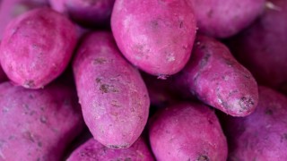 Filipinler’in mor yam ürünü ube dünyada kıtlaştı