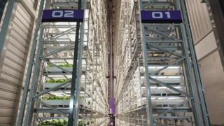 Greenphyto, Singapur’da 23 metrelik dikey tarım çiftliği açtı