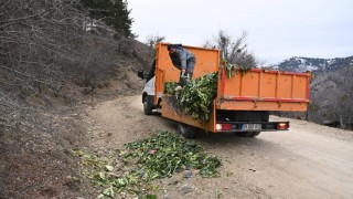 Isparta Belediyesi, kış aylarında yaban hayvanları için gıda desteği sağladı
