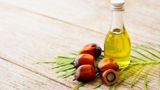 Malezya palm yağı fiyatları 3 ayın zirvesine çıktı