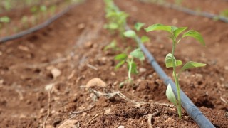 OAİB: Tarım ve Gıda İhracatı 2025’te Artış Gösterdi