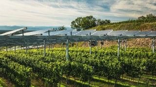 Özbekistan Tarım Bakanlığı Taşkent’te güneş enerjili tarım projesi başlattı