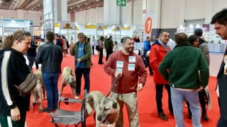 Pet İzmir 2026 Fuarı Gaziemir’de üçüncü gününde sürüyor