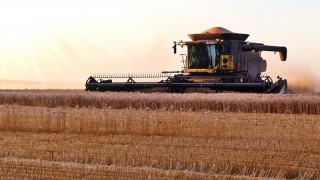 Rosario Borsası: Arjantin buğday hasadı 27 milyon tonu aşacak