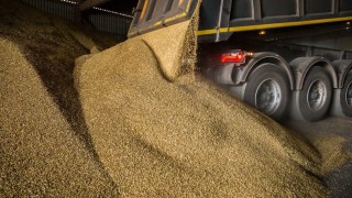 Rosstat: Rusya’da Aralık 2025 buğday ihracatı 4,4 milyon tona ulaştı