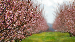 Tarım Bakanı Yumaklı: TARSİM kapsamı genişletildi