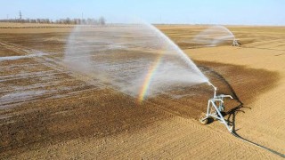 Tarım-GFE Kasım 2025’te yıllık yüzde 34,24 arttı