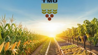 TMO, Mısır ve Kuru Üzüm Alımları İçin 360 Milyon TL Ödeme Yaptı