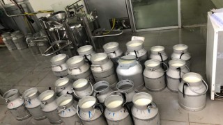 TÜSEDAD: Aralık’ta çiğ süt maliyeti 23,93 TL’ye çıktı