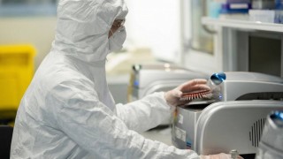 Yeni Şap Virüsü Suşu İçin Patent Alındı