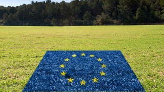 AB Komisyonu: Tahıl ithalatında rota Amerika’ya kaydı