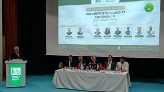 Alkan: Kırmızı et arzında Türkiye yüzde 93 yeterli