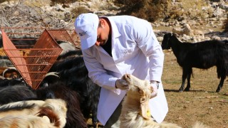 Antalya Büyükşehir’den Çoban Haritası: 54 Yayla Haritalandı