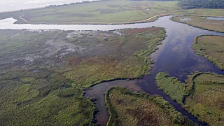 Bakan Yumaklı: 138 sulak alan koruma altında