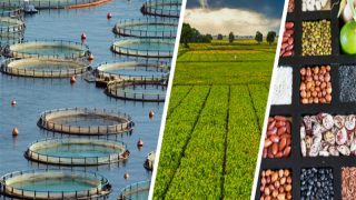 Bakan Yumaklı: 255,4 milyon TL destek ödemesi yapıldı