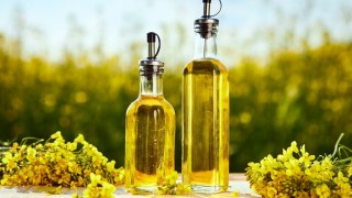 Belarus: Kolza Yağı Üretiminde Dünyada İlk 10’da