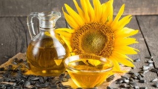 Bulgaristan’da Arjantin Ayçiçeği İthalatı İç Piyasayı Sarsıyor