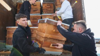 Bursa Büyükşehir Mustafakemalpaşa’da arıcılara destek