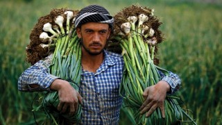 CHP’li Gürer genç çiftçiler için kanun teklifi sundu