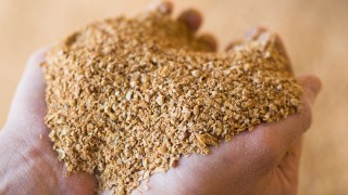 Çin, Rusya’dan Soya Küspesi İthalatını 7 Kat Arttırdı