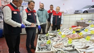 Denizli’de 2025’te 2 Bin Su Ürünleri Denetimi Yapıldı