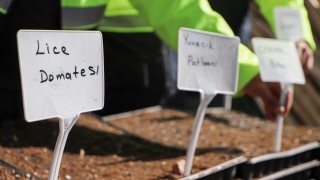 Diyarbakır Büyükşehir Belediyesi 300 bin fideyi toprakla buluşturdu