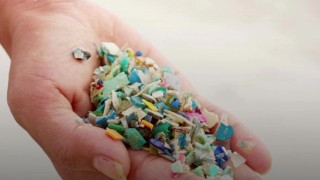 Japonya Araştırması: Tarım Gübreleri Plastik Kirliliğine Yol Açıyor