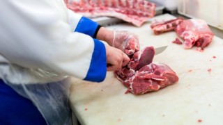 Kazakistan, Rusya’dan Hayvansal Ürün İthalatını Durdurdu