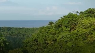 Liverpool Üniversitesi: Andlar ve Amazon’da orman yapısı değişiyor